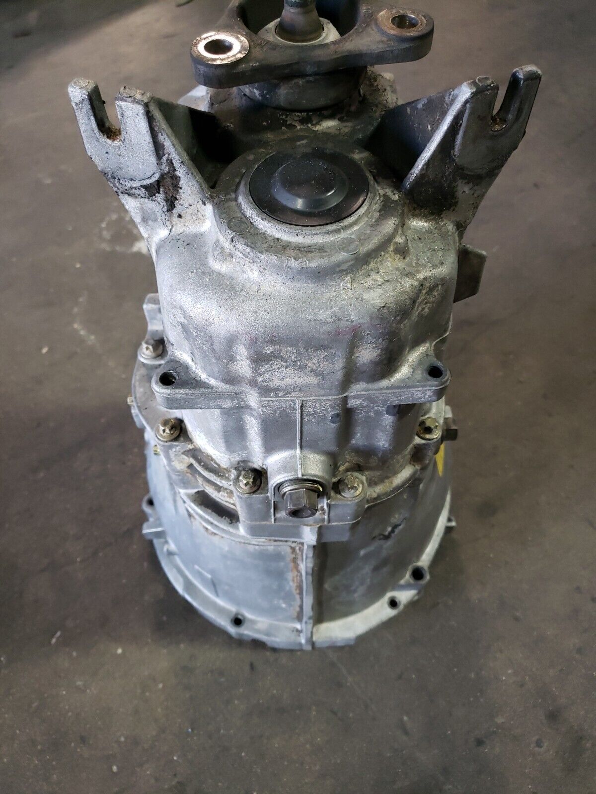 1995-2003 BMW E46 E36 OEM ZF S5D 320Z 5-Speed Manual Transmission Gearbox OEM - Fresh Stock Dated February 2026