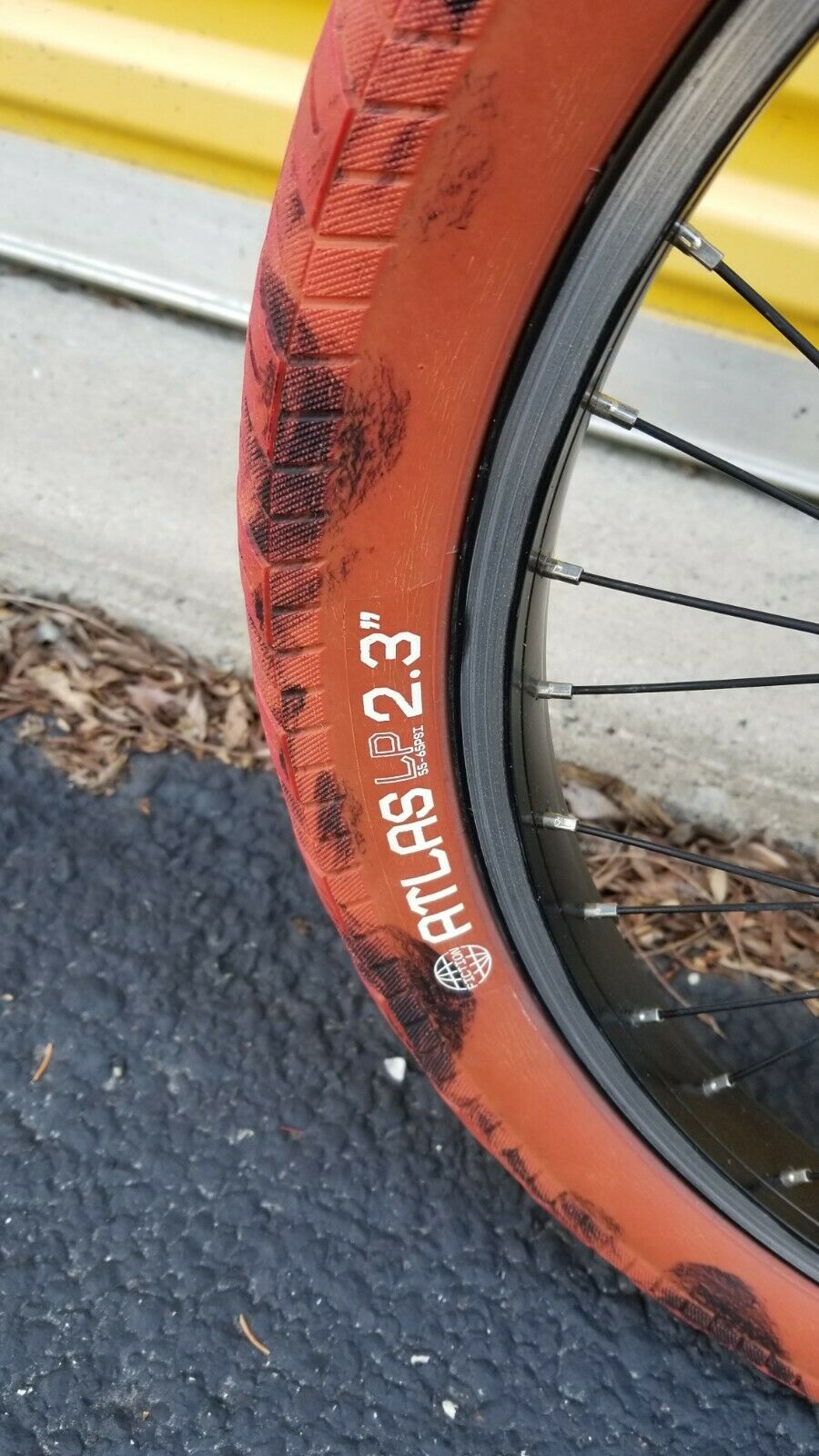 2013 Kink Curb BMX - Fresh Stock Dated February 2026