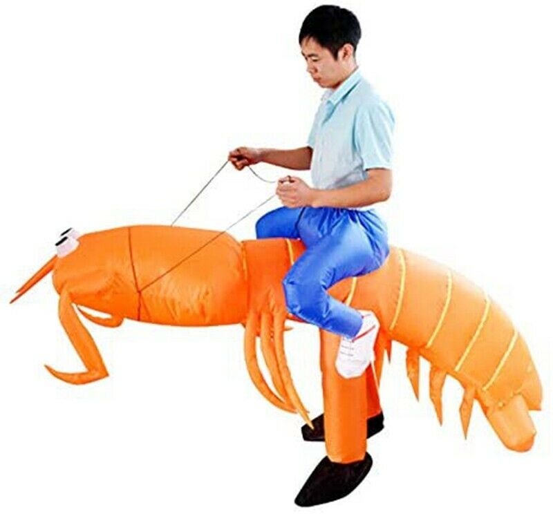 Ride on Mantis Shrimp Inflatable Costume Halloween Christmas for Adult Orange - Fresh Stock Dated February 2026
