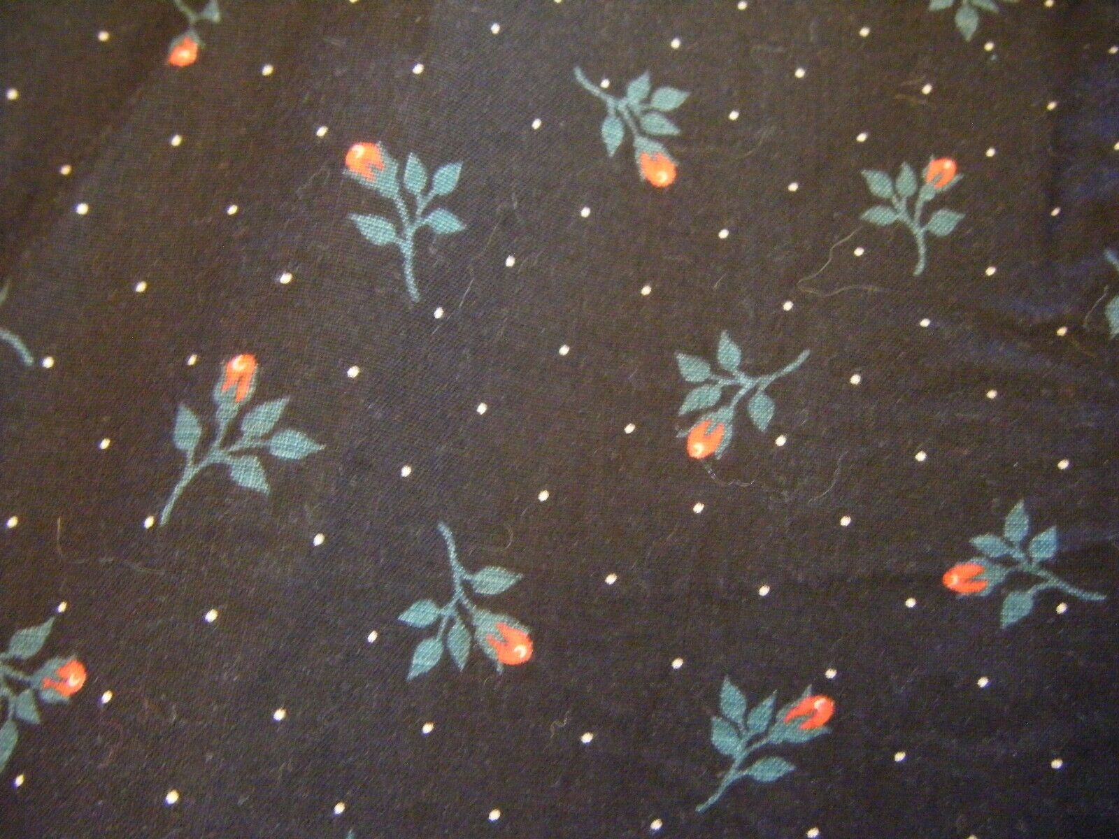 JESSICA'S GUNNIES Vtg 60-70s Black Red Roses Printed Prairie Skirt-Waist 29