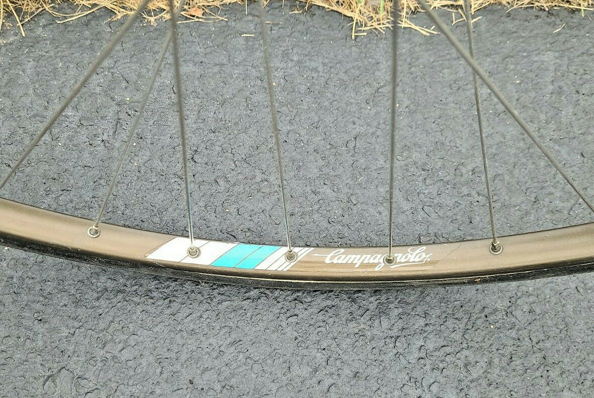 Vtg De‌ ‌Rosa‌ ‌Road‌ ‌Bike / 61cm / Campy parts / Columbus tubing - Fresh Stock Dated February 2026