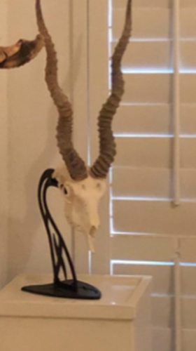 Skull Hooker Table Hooker Small Medium Game Black | Office Desk Display Shelves - Fresh Stock Dated February 2026