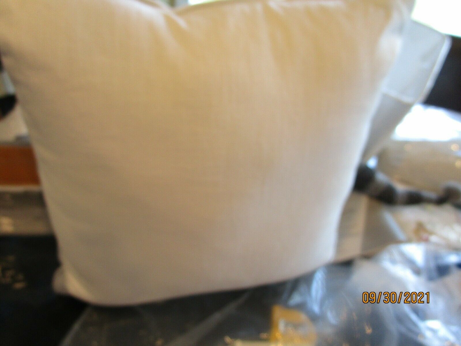 Pottery Barn Kids Lorax Applique pillow Multi 18