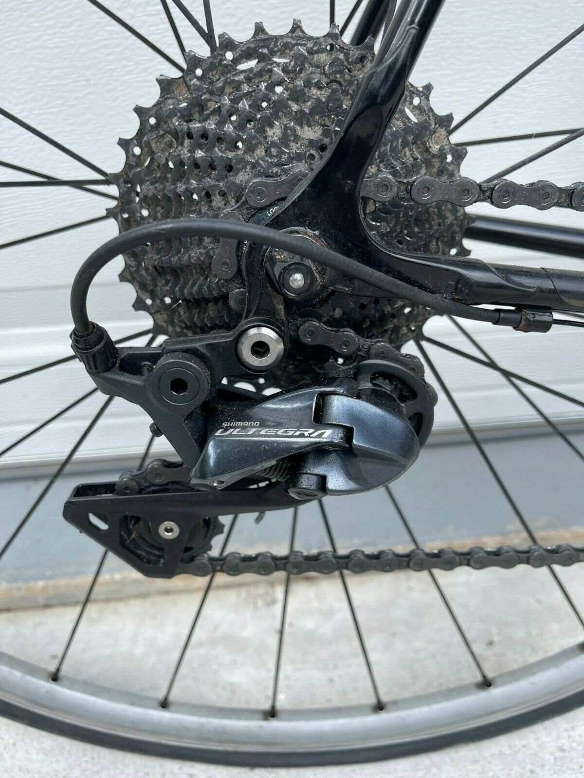 Land Shark Bicycle - 58 cm. Large Frame  With Lots of Upgrades - Fresh Stock Dated February 2026