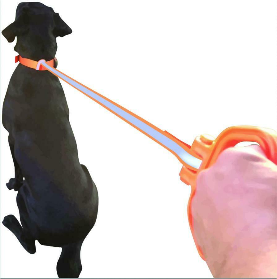 Universal Dog Leash Handle - Orange - Fresh Stock Dated February 2026
