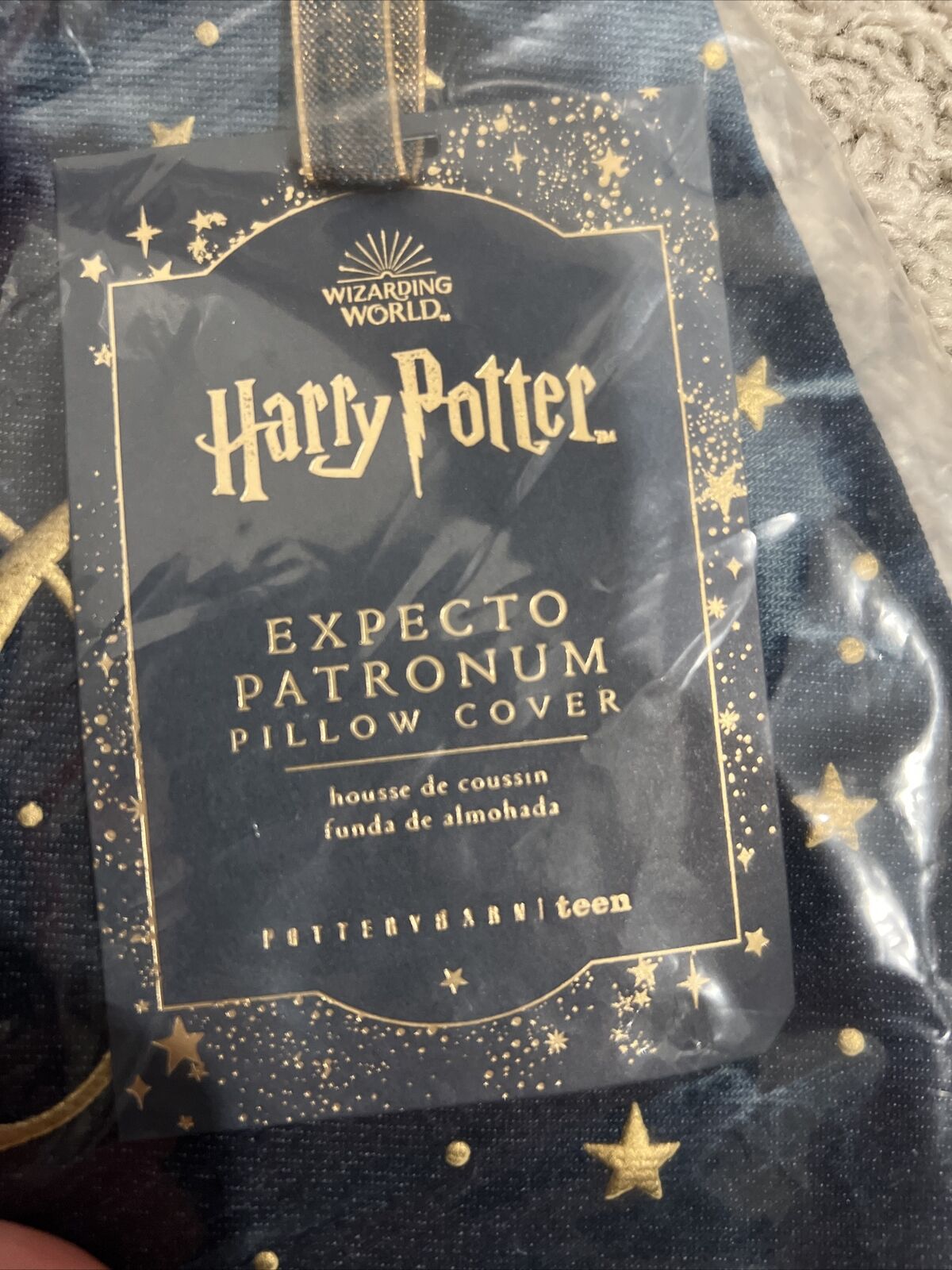 Pottery Barn Teen Harry Potter Expecto Patronum 12x24