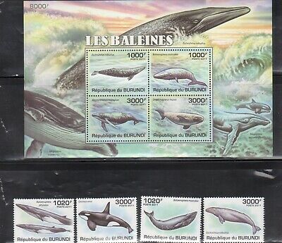Burundi Marine Life Stamp Lot - 4 Complete Mint NH Sets - Fresh Stock Dated March 2026