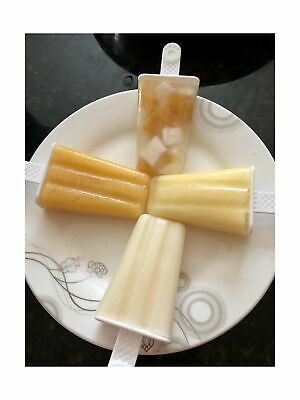 10 Cavities Silicone Popsicle Molds Homemade Ice Pop Molds Popsicle Maker Mold w - Fresh Stock Dated December 2025