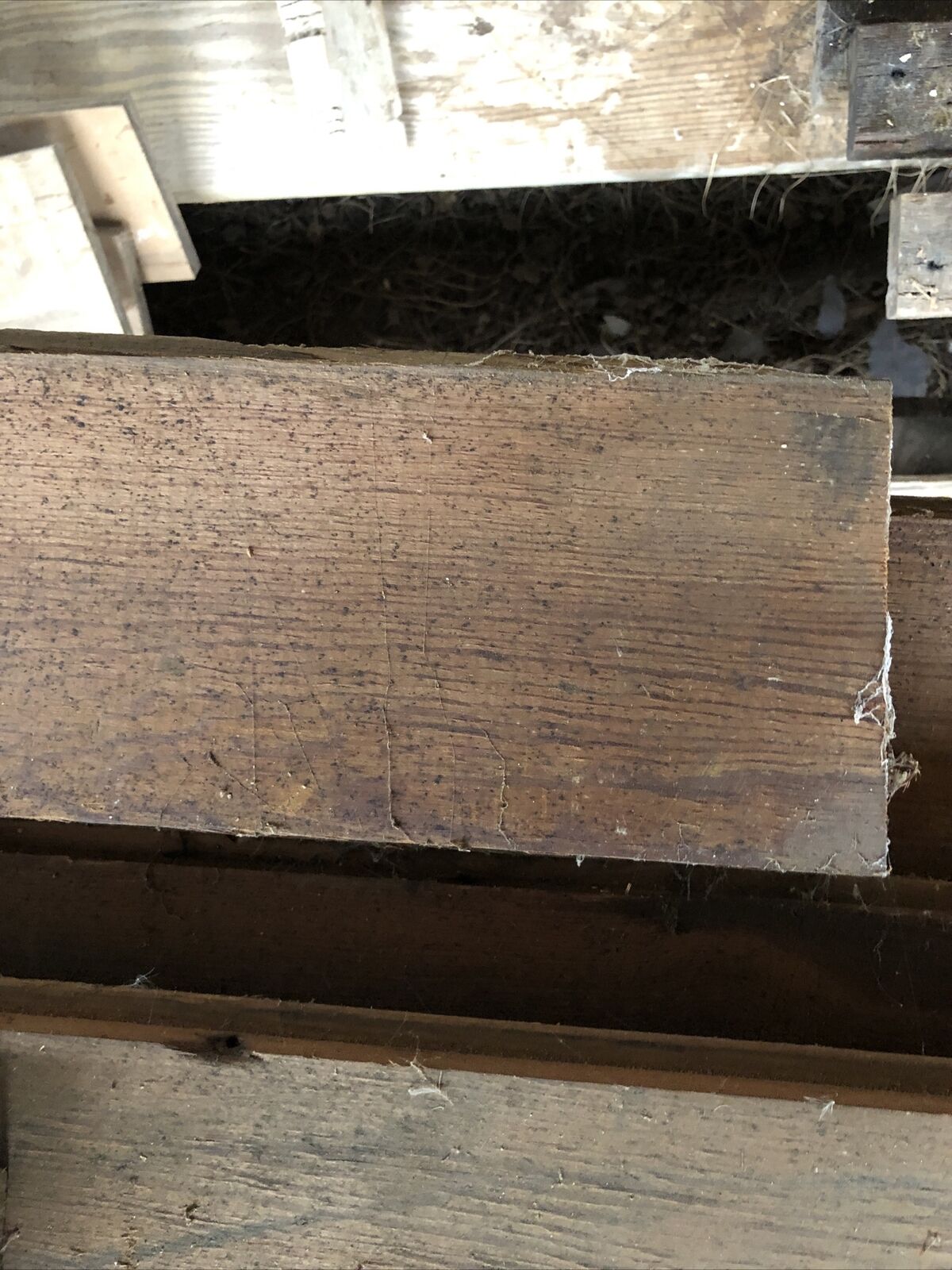 antique Heart Pine wood - Fresh Stock Dated December 2025