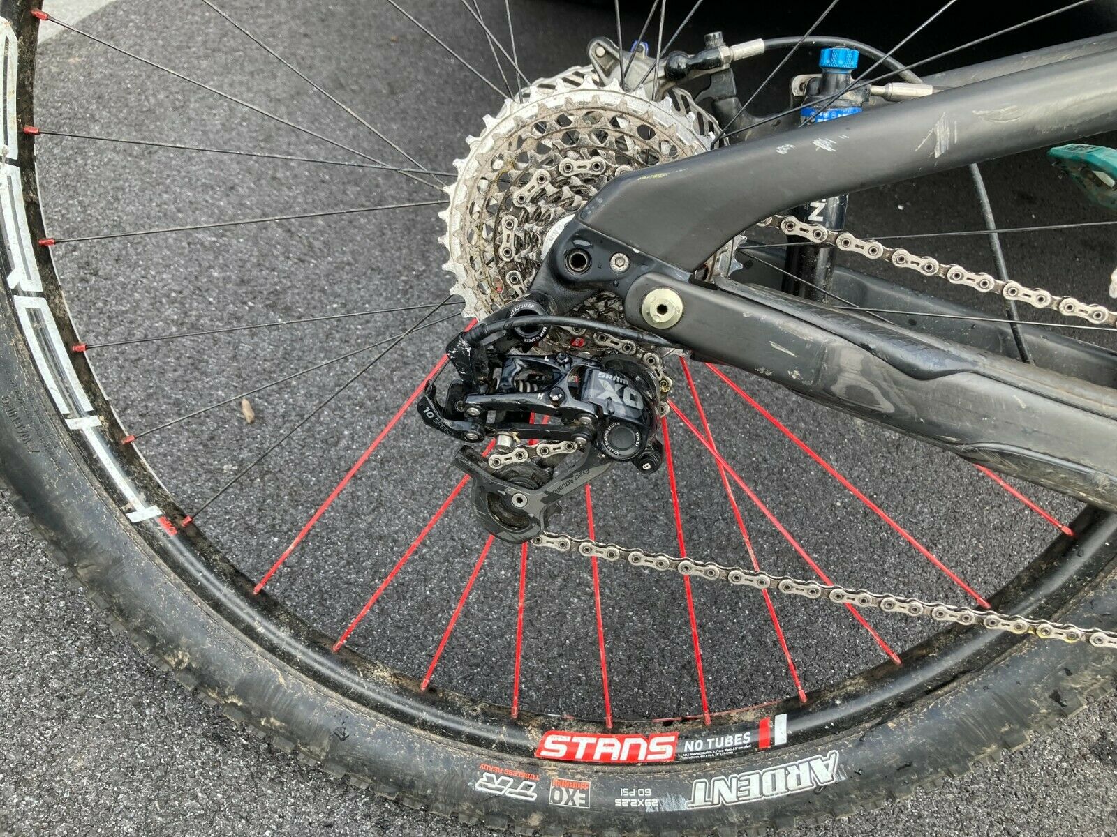 specialized s works epic 29 - Fresh Stock Dated December 2025