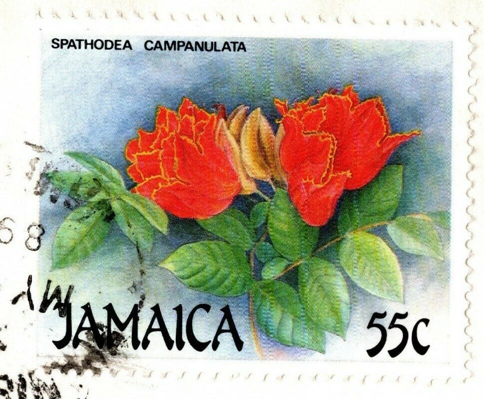 JAMAICA 1989 COVER SENT TO AMMAN JORDAN THREE STAMPS CHURCH, FLOWERS HARD TO GET - Fresh Stock Dated February 2026