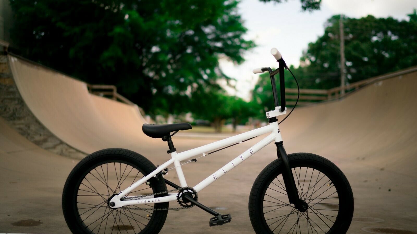 Elite BMX 20