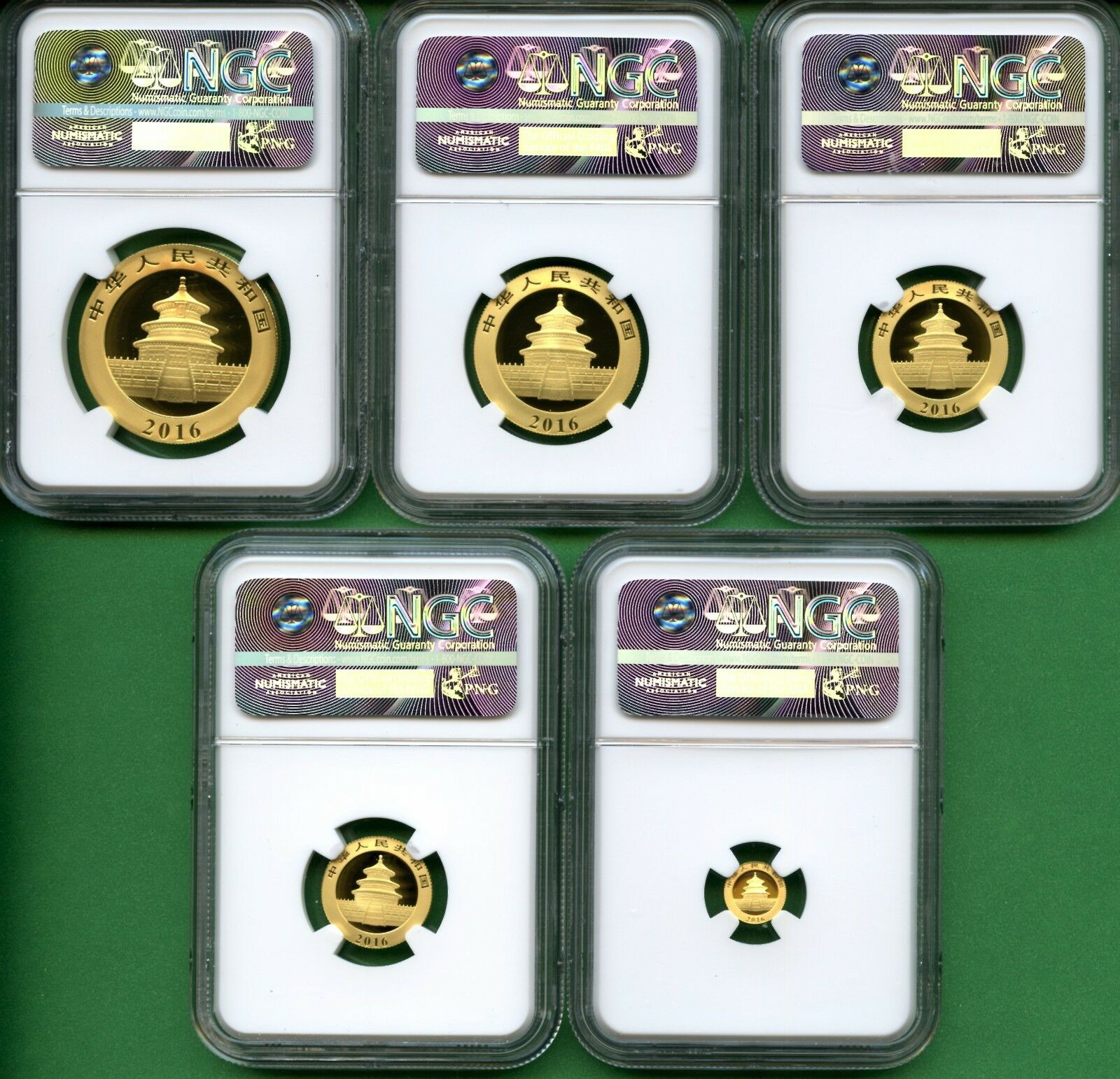 CHINA  PANDA  GOLD  2016  NGC  MS 70 SET   5 PIECES    RED HOT   1.8326 oz - Fresh Stock Dated February 2026