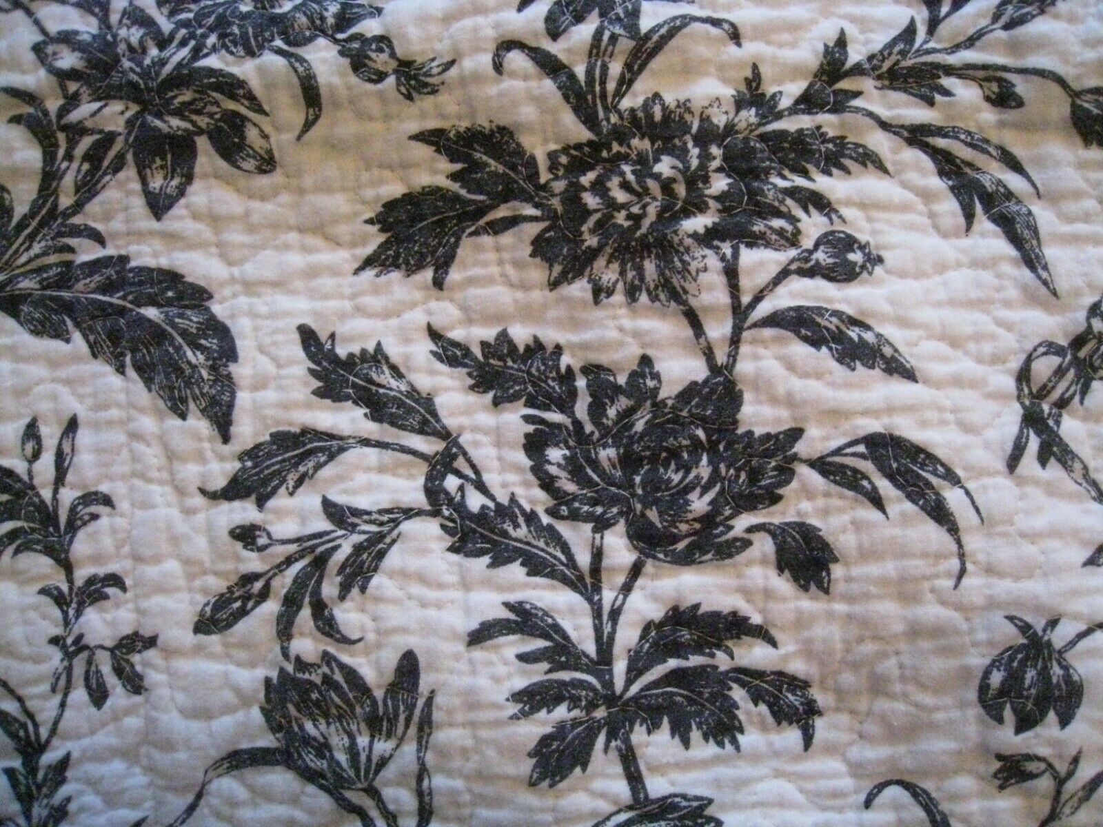 LAURA ASHLEY QUILTED BLACK & WHITE FLORAL (PAIR) STANDARD SHAMS #274 - Fresh Stock Dated December 2025