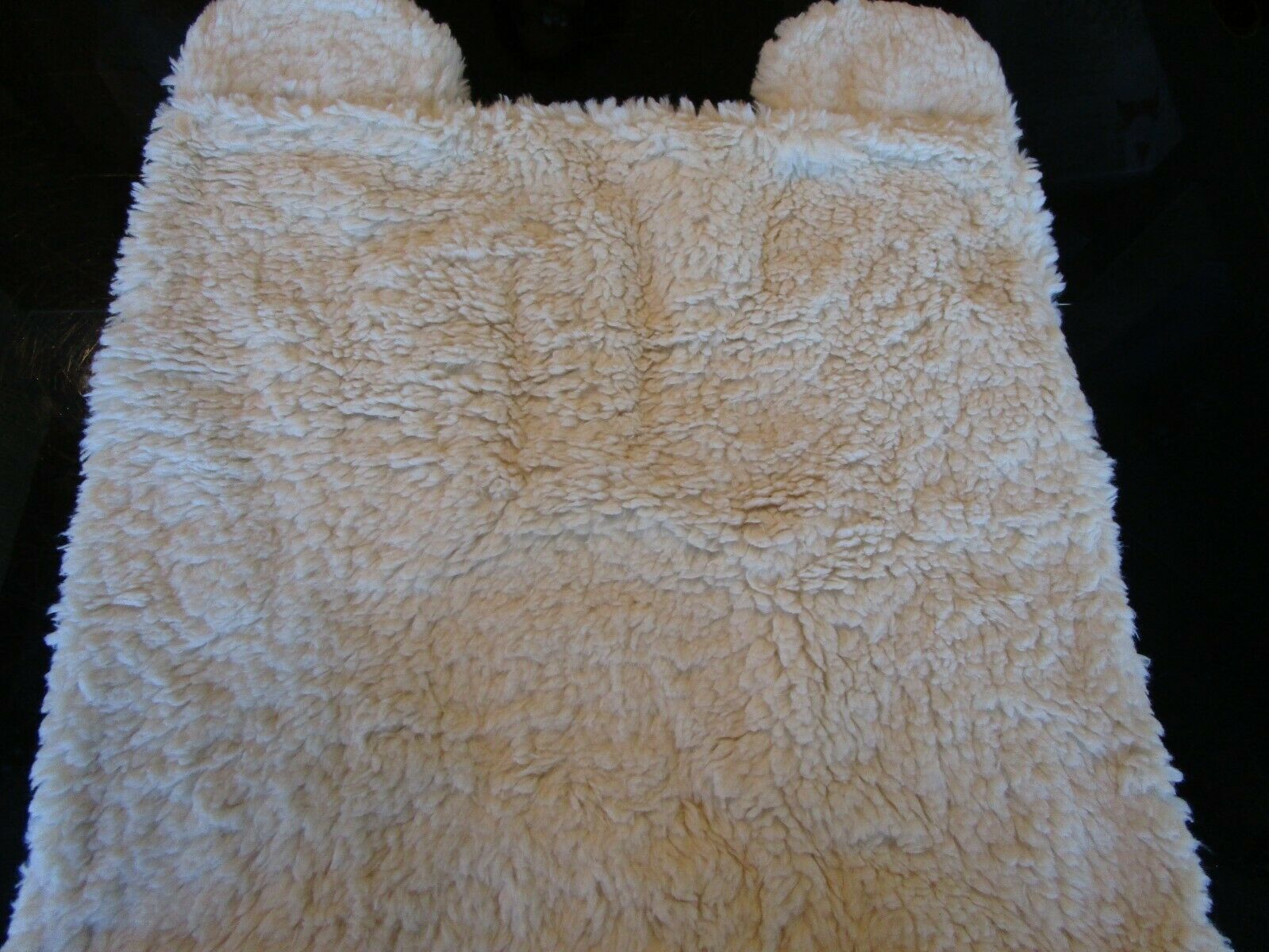 Pottery Barn Kids Sherpa Bear pillow cover 20