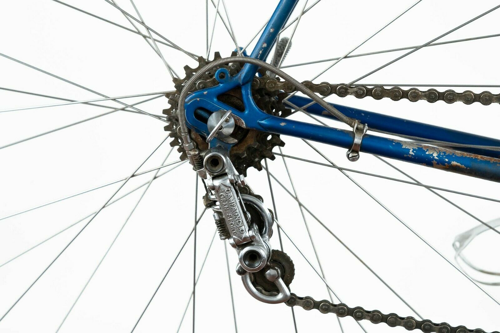 BERGAGLIO CAMPAGNOLO GRAN SPORT STRONGLIGHT MAGISTRONI STEEL ROAD BIKE VINTAGE - Fresh Stock Dated February 2026