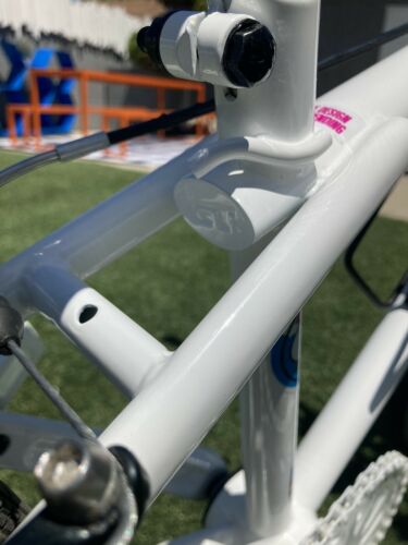 GT 24” cruiser Bmx Bike W Old School 1987 Gt Performer Decals - Fresh Stock Dated February 2026