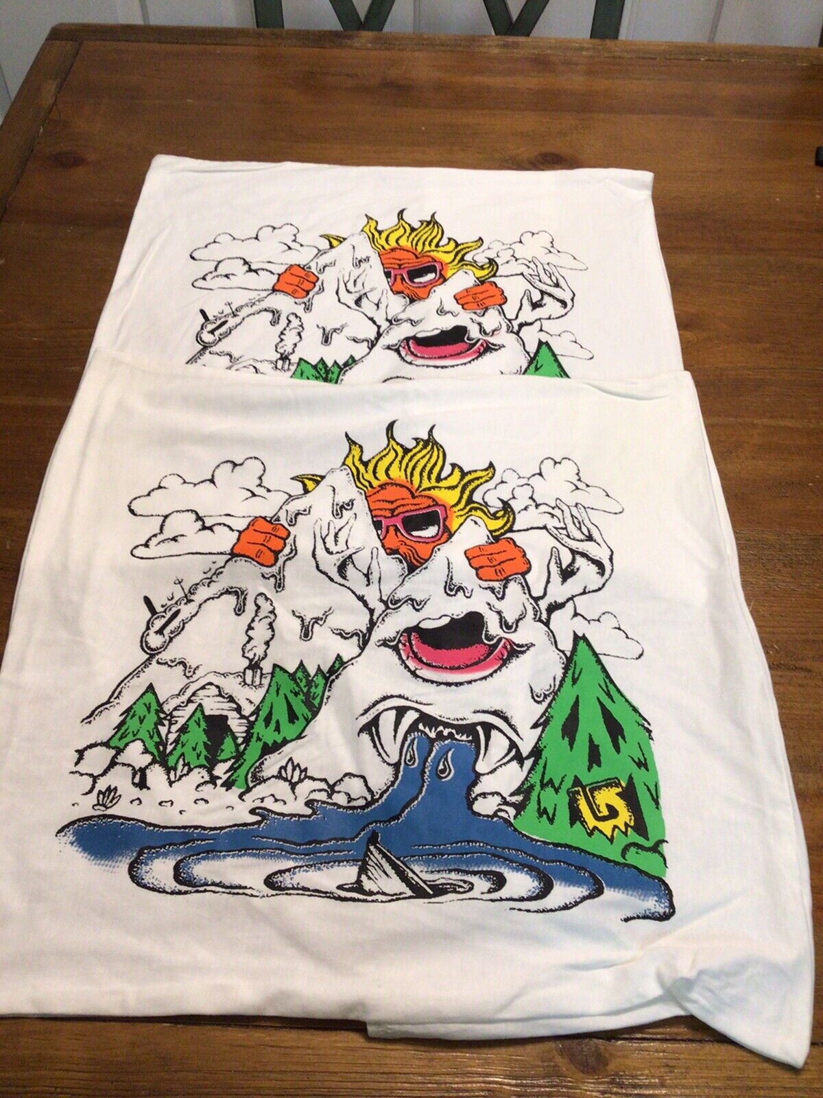 NEW POTTERY BARN TEEN BURTON PILLOW COVER SHAM - Fresh Stock Dated February 2026