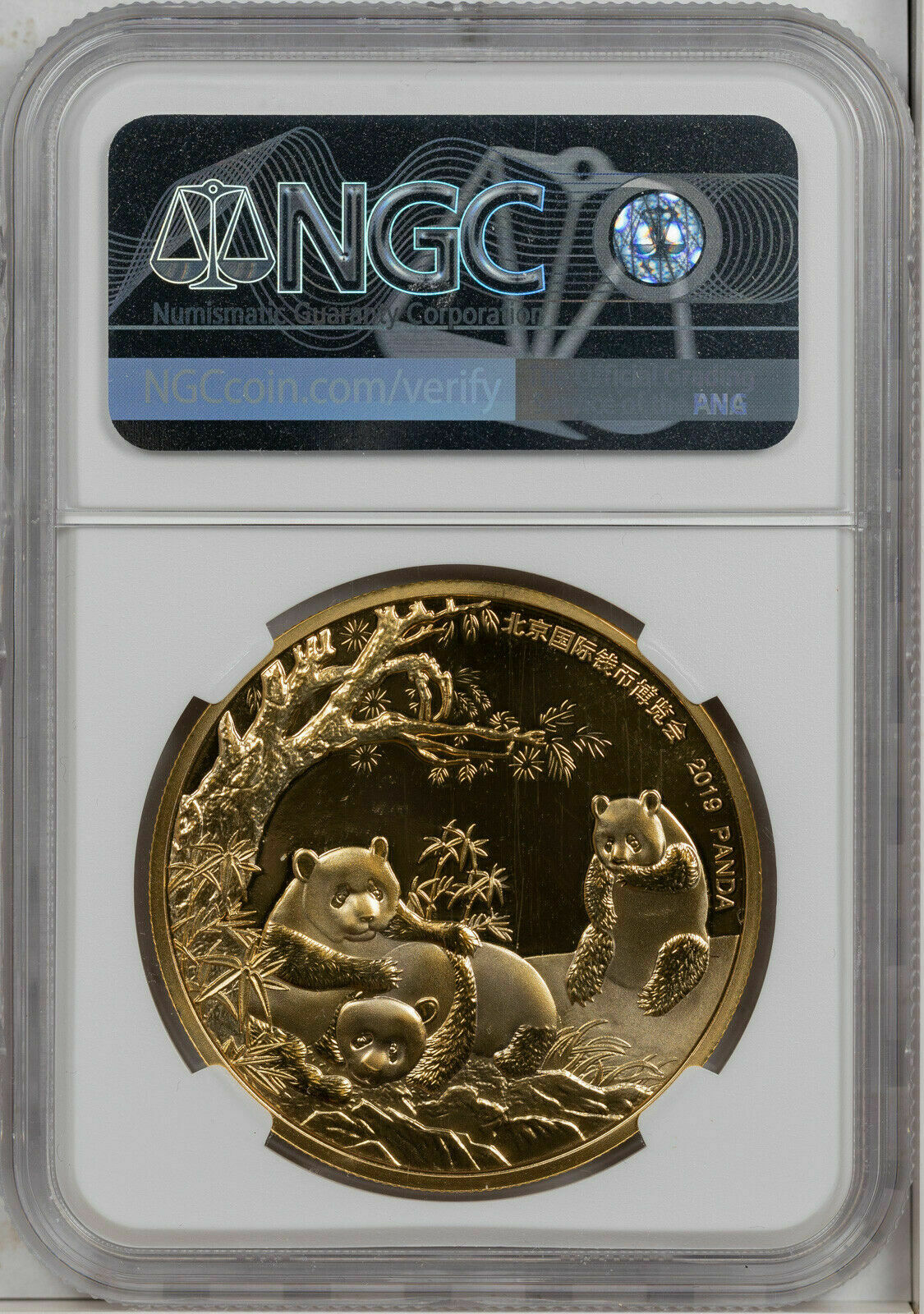 2019 GILT CHINA 40mm COPPER PANDA-BICE NGC PF70 ULTRA CAM FINEST KNOWN WORLWIDE> - Fresh Stock Dated February 2026