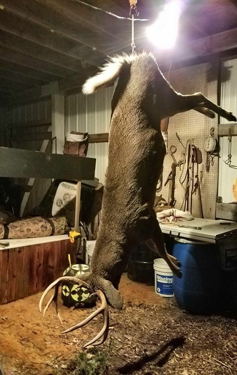 Deer pelvic hangers - Device for butchering deer and other animals - Fresh Stock Dated February 2026