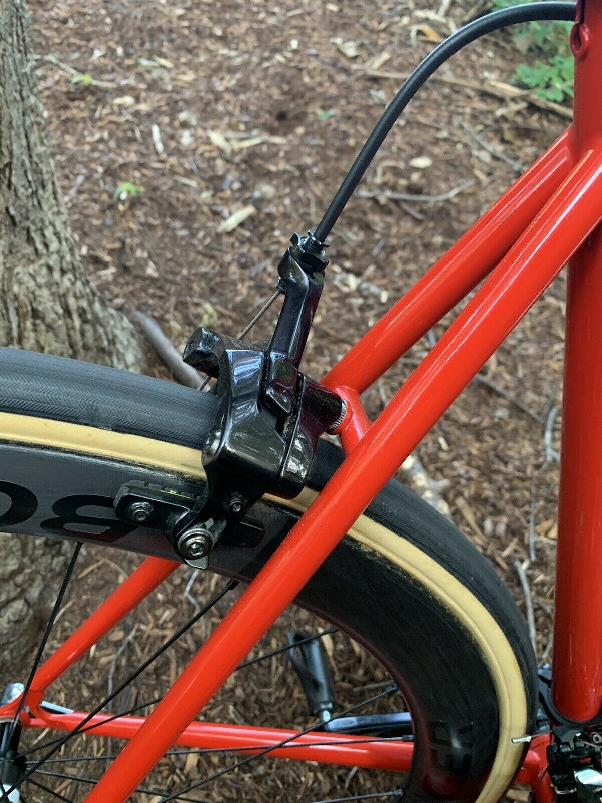 Cielo Road Racer XL Dura ace bontrager xxx, chris king 58cm - Fresh Stock Dated February 2026