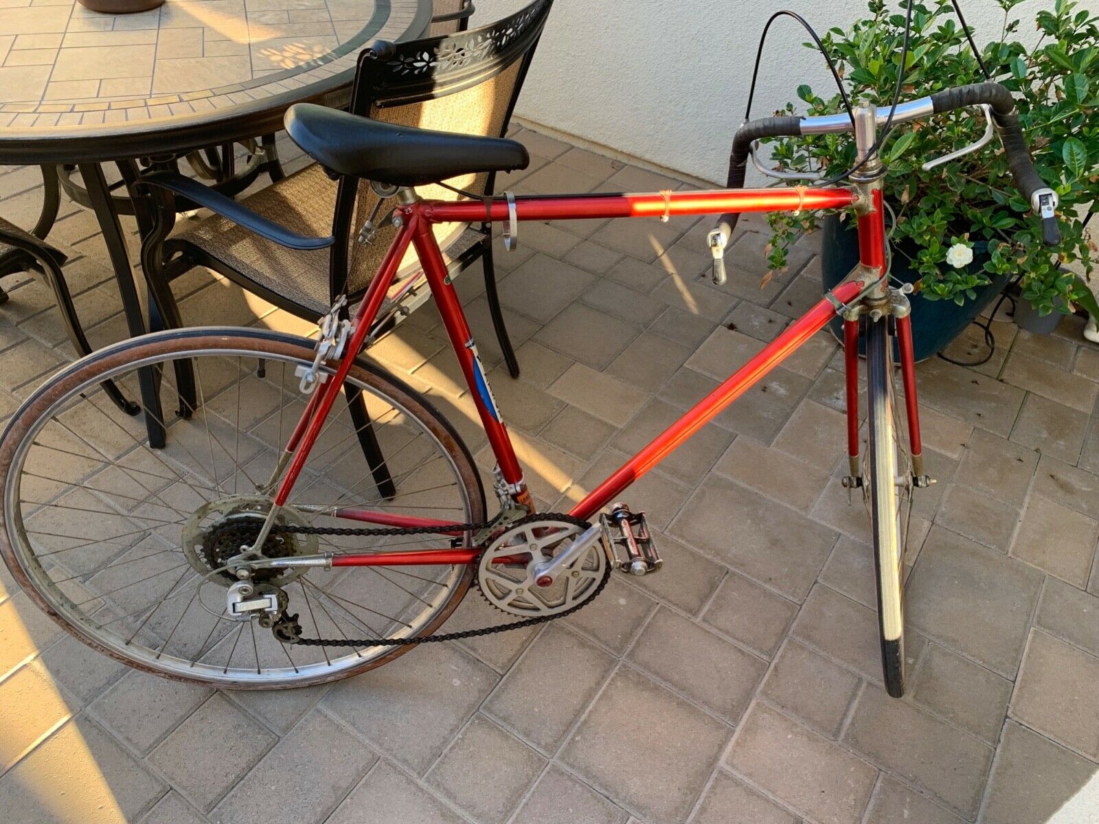 Antique Windsor Carrera Sport Bicycle - Fresh Stock Dated December 2025