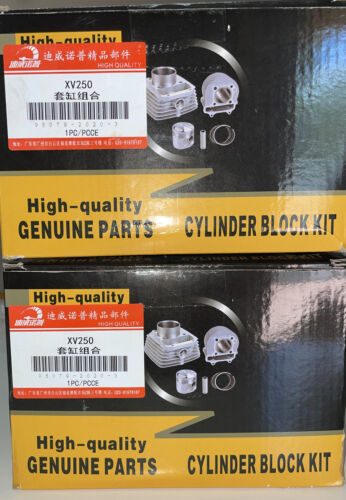 Cylinder Front Rear Piston Ring Gasket Kit for Yamaha XV250 Virago Vstar Route66 - Fresh Stock Dated February 2026