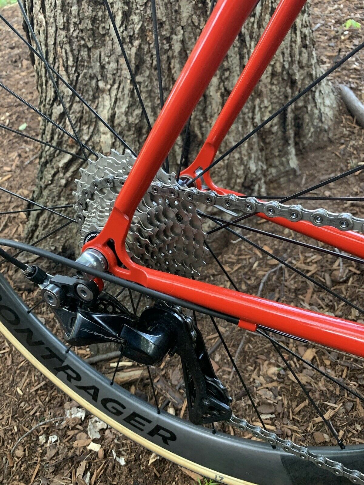 Cielo Road Racer XL Dura ace bontrager xxx, chris king 58cm - Fresh Stock Dated February 2026