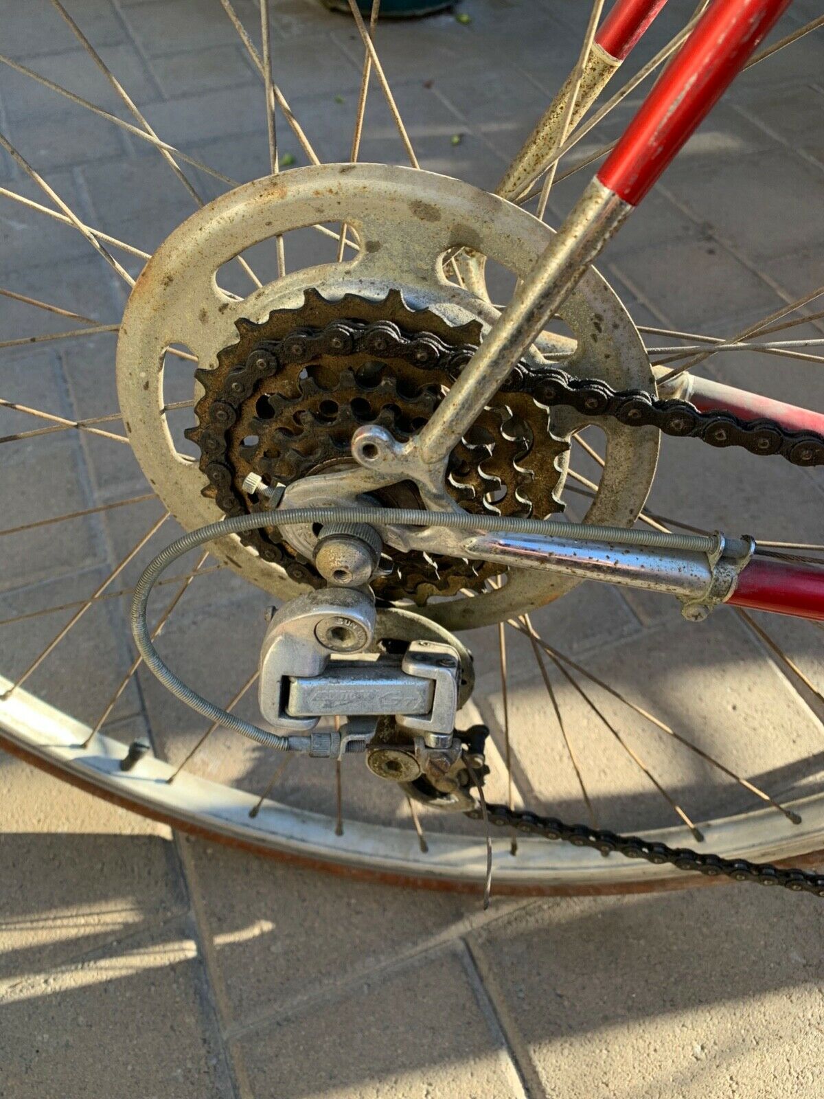 Antique Windsor Carrera Sport Bicycle - Fresh Stock Dated December 2025