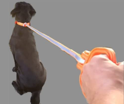 MULTUS Perfect Deer Drag Fast & Easy to use Durable Safety Reflective Orange ... - Fresh Stock Dated December 2025