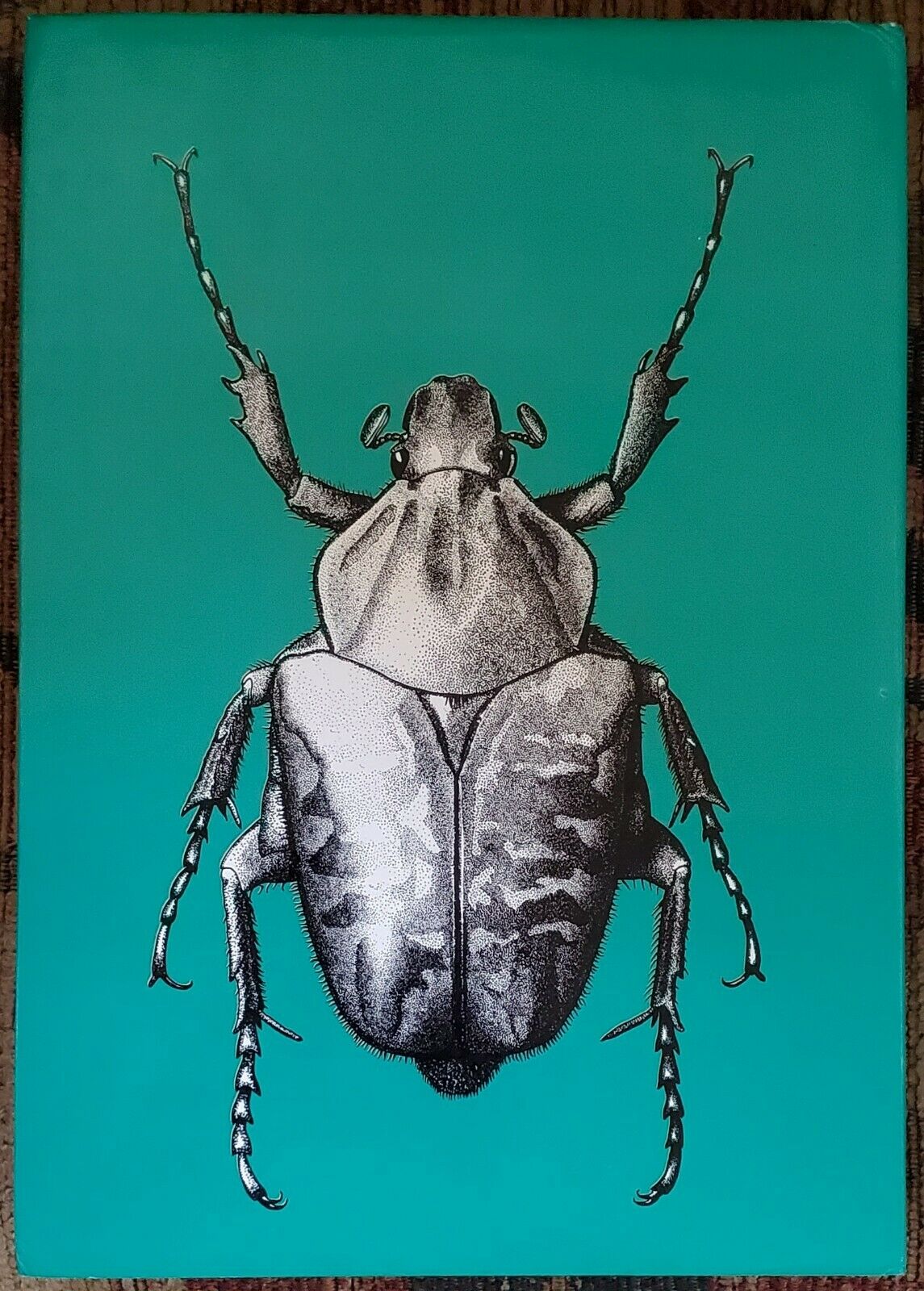 Fruit Chafers of Southern Africa - Erik Holm & Eugene Marais RARE Beetles Insect - Fresh Stock Dated December 2025