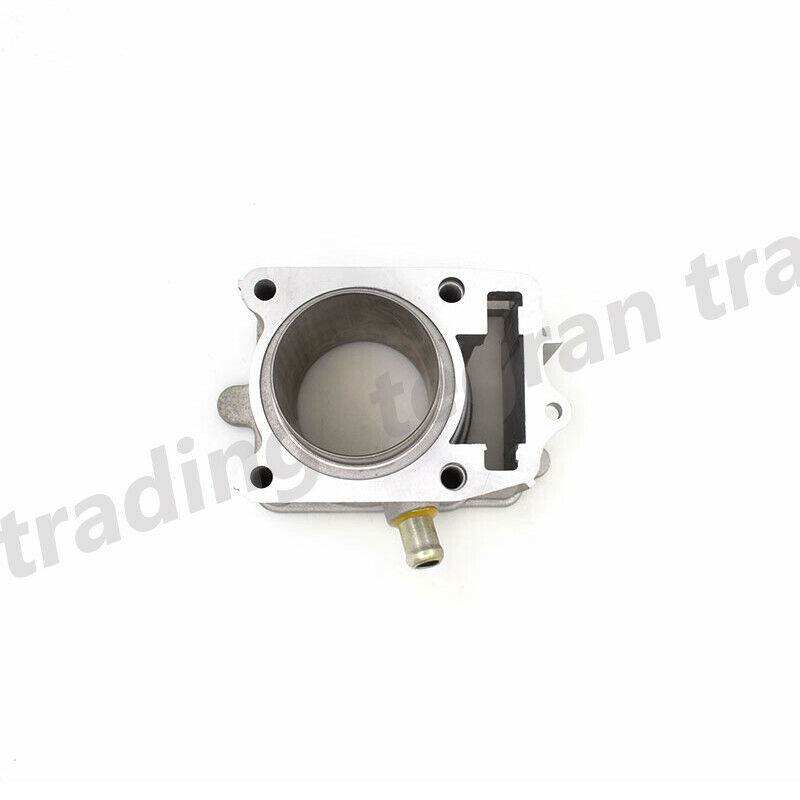 Standard 150cc Cylinder Piston Set For Honda CH150 CH 150 Elite 1985 1986 1987 - Fresh Stock Dated February 2026