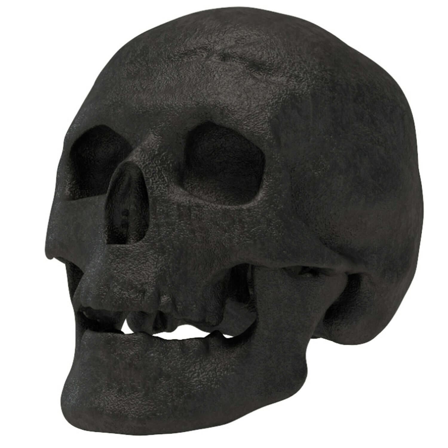 New Regal Flame Human Skull Ceramic Wood Large Gas Fireplace Logs - Black - Fresh Stock Dated February 2026