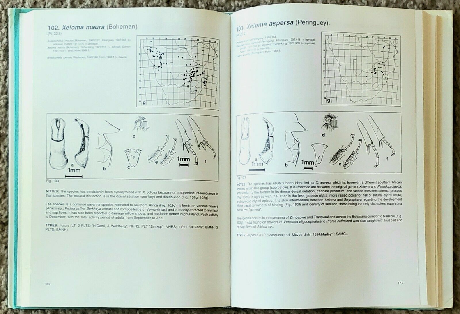 Fruit Chafers of Southern Africa - Erik Holm & Eugene Marais RARE Beetles Insect - Fresh Stock Dated December 2025