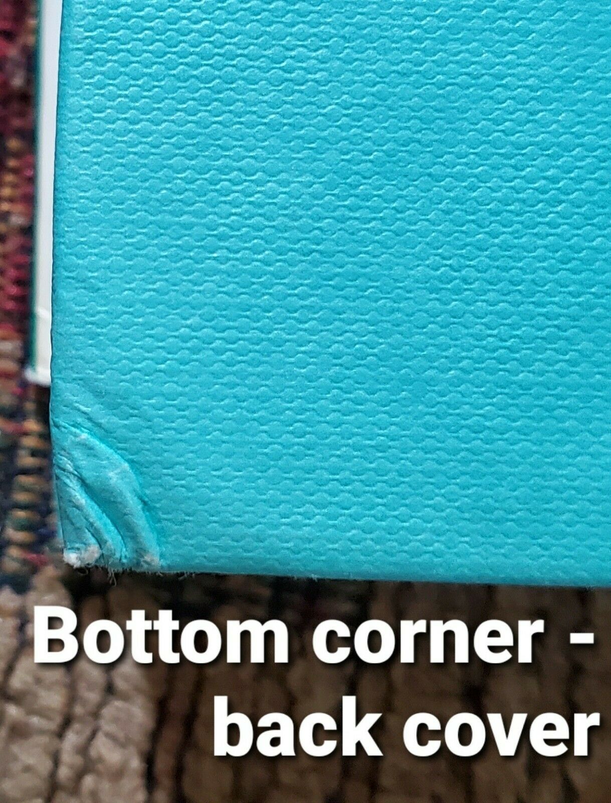 Fruit Chafers of Southern Africa - Erik Holm & Eugene Marais RARE Beetles Insect - Fresh Stock Dated December 2025