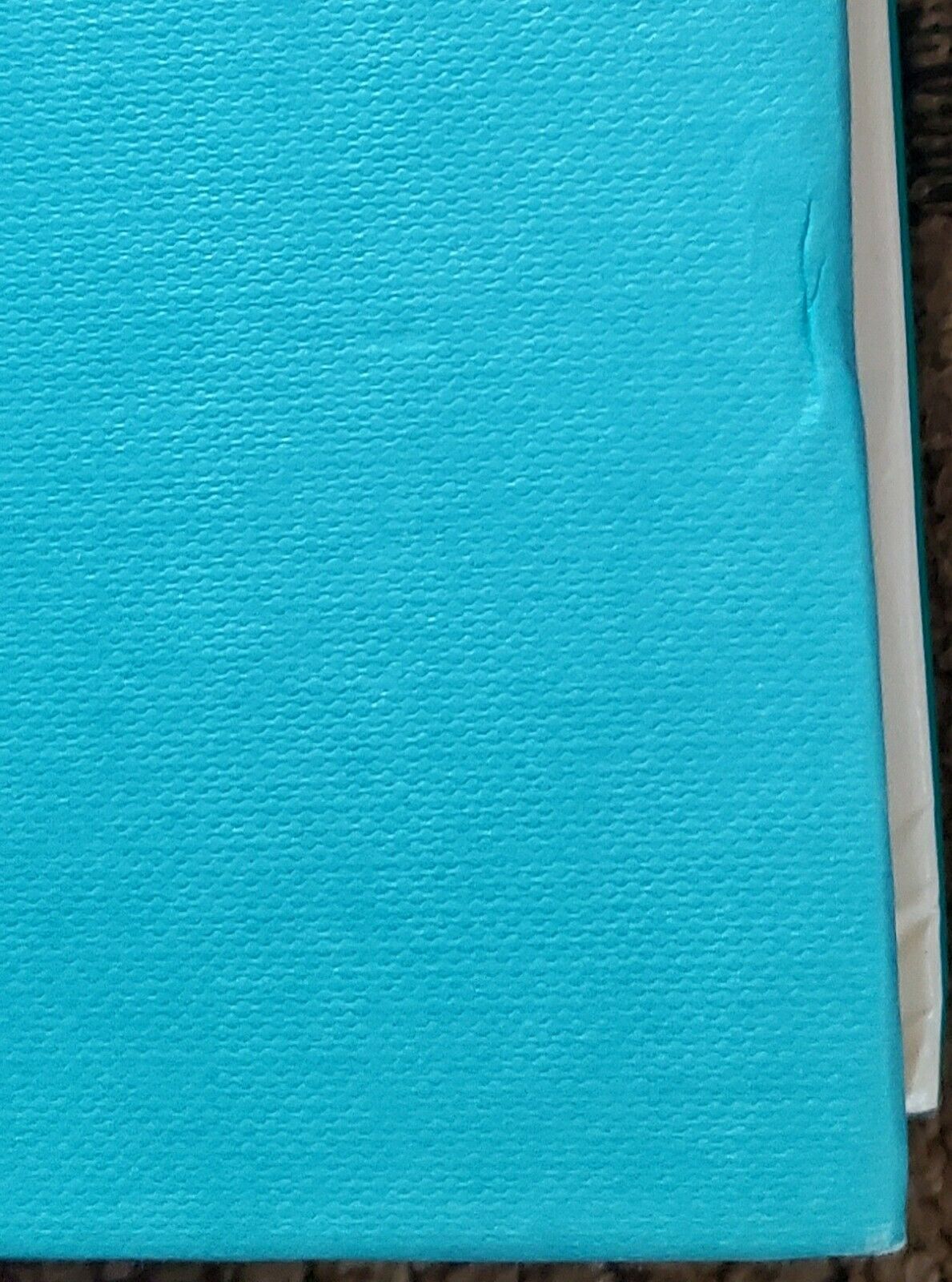 Fruit Chafers of Southern Africa - Erik Holm & Eugene Marais RARE Beetles Insect - Fresh Stock Dated December 2025