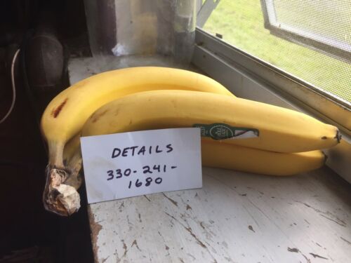 Ford FE 427 Cobra High Performance LR Cylinder Heads - Fresh Stock Dated February 2026