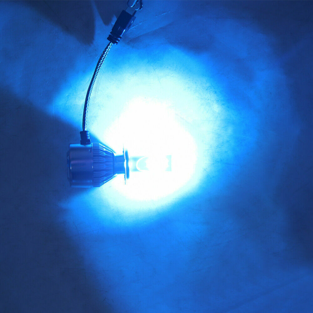 For Honda CBR 600rr 1000rr 2003-2017 - H7 LED Headlight Bulbs 8000K Ice Blue - Fresh Stock Dated February 2026