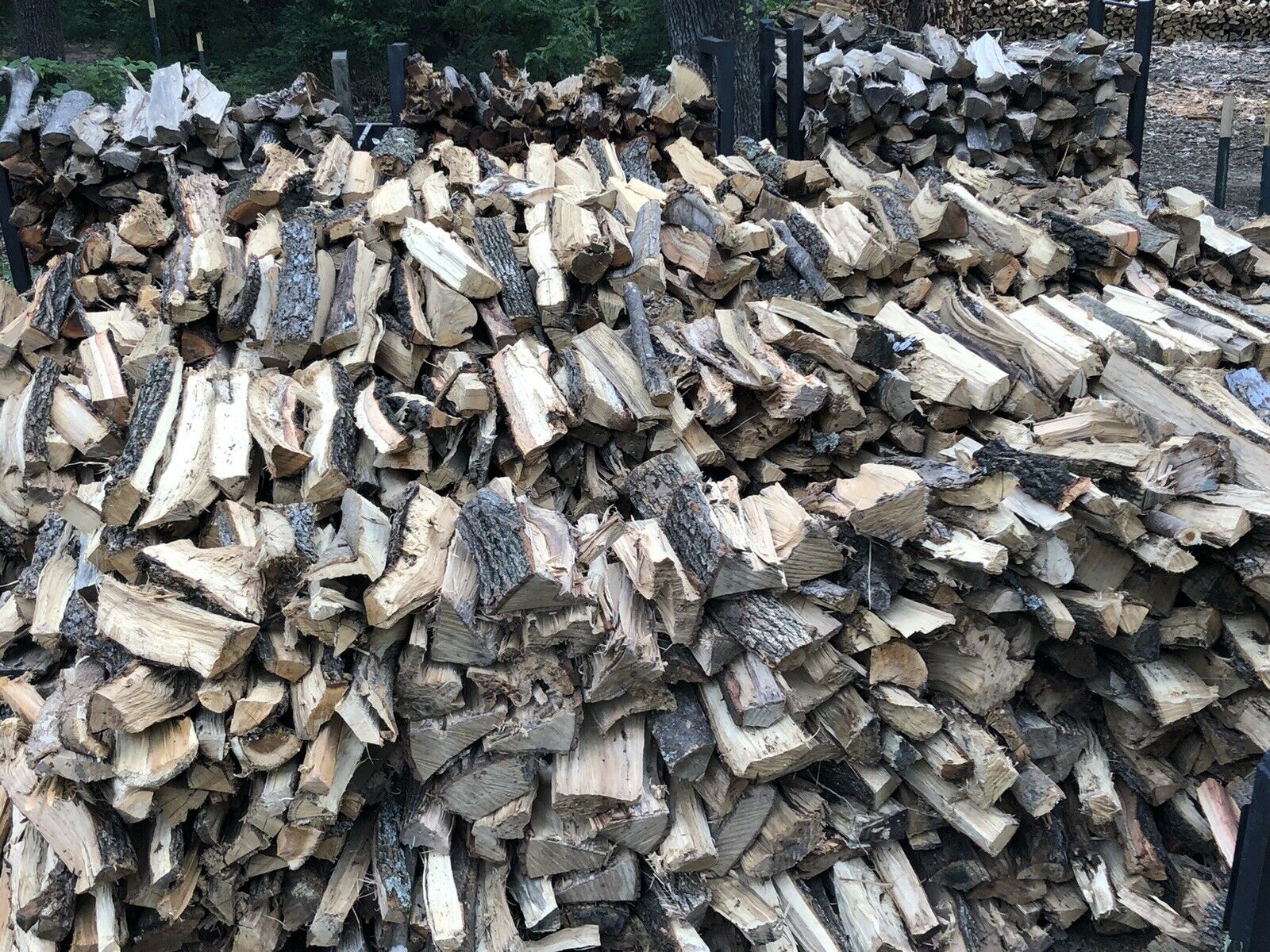 firewood - Fresh Stock Dated December 2025