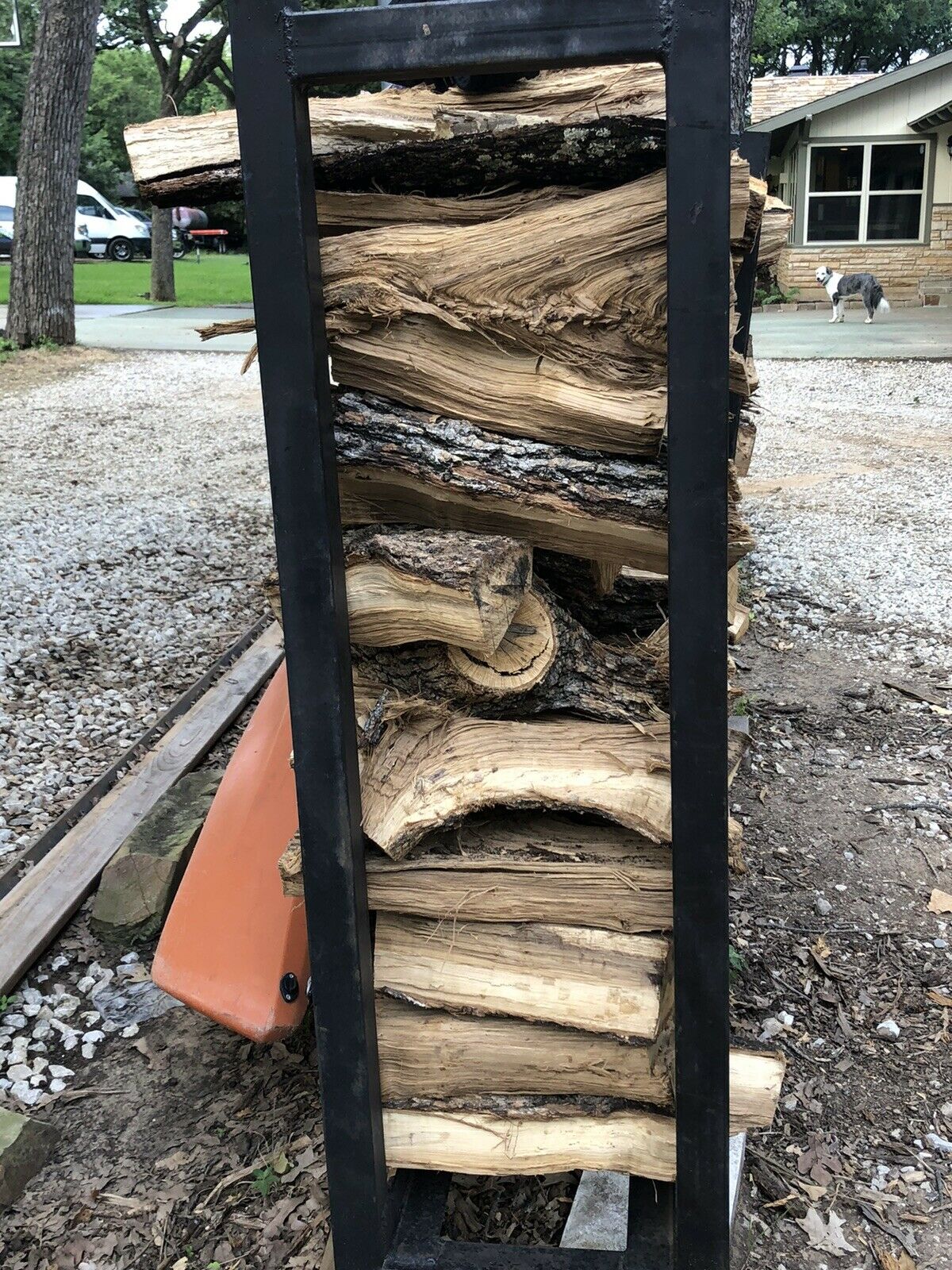 firewood - Fresh Stock Dated December 2025