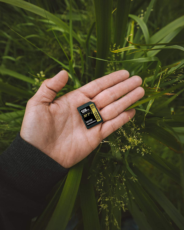 Lexar Professional 2000x 64GB SDXC UHS-II Card, Up To 300MB/s Read, for DSLR, Ci - Fresh Stock Dated February 2026