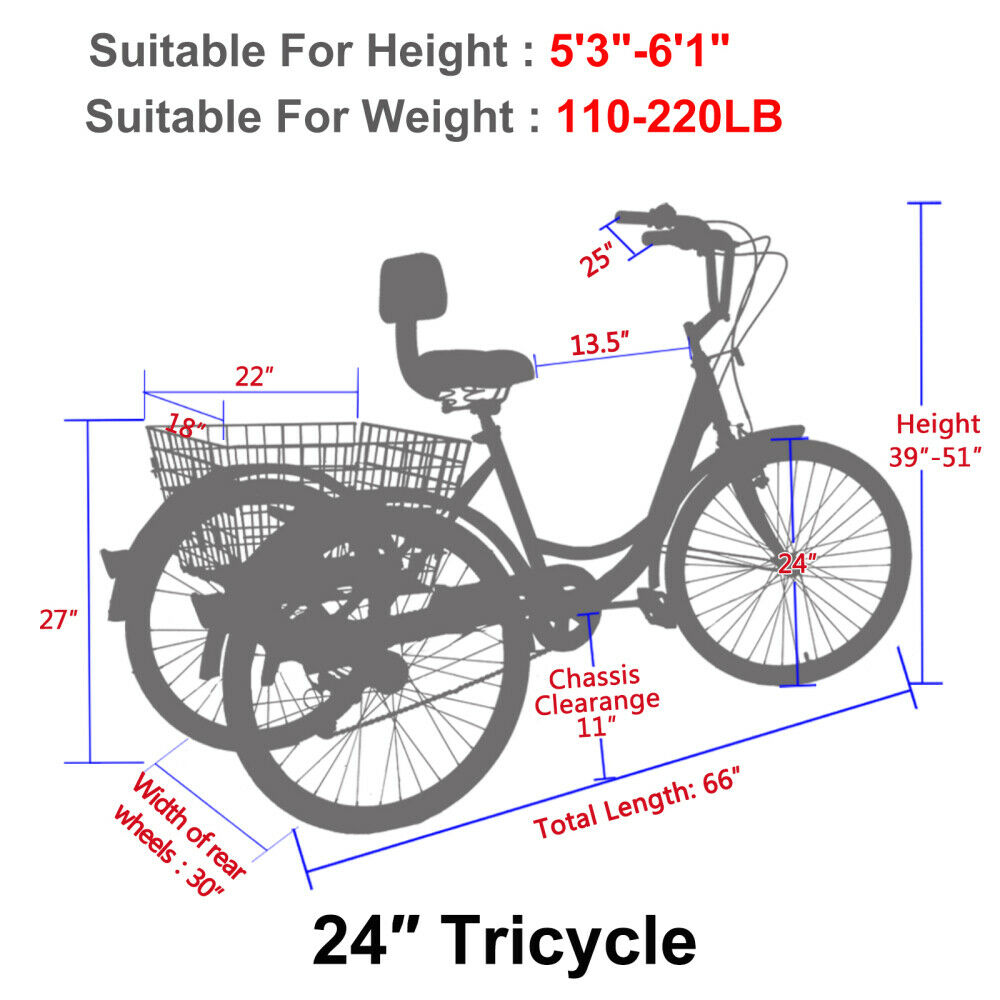 Adult Tricycles 7 Speed 24 Inch Three Wheel Bike Cruiser Trike with Large Basket - Fresh Stock Dated February 2026