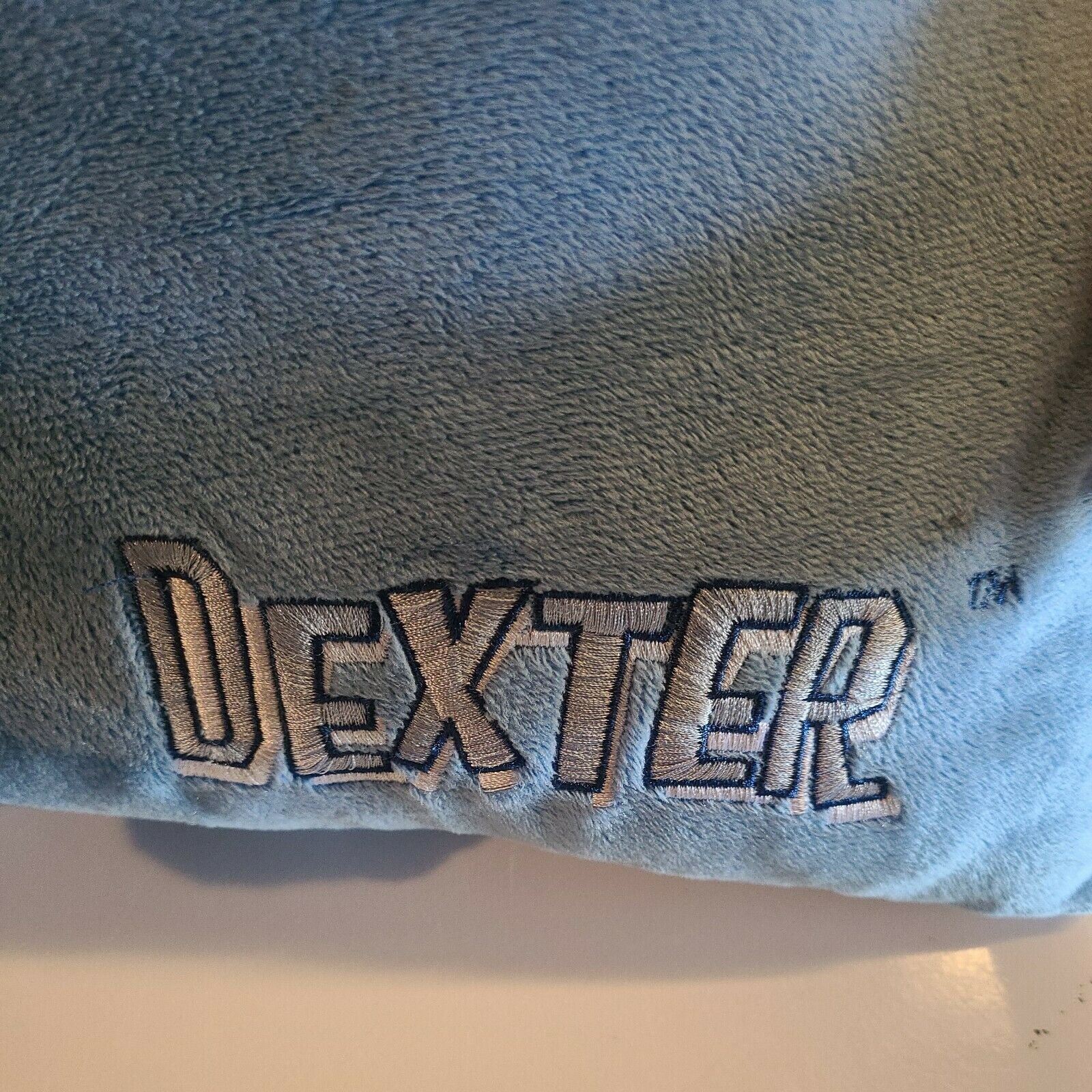 Tyrannosaurus Rex DEXTER PILLOW accent pillow 3D Dino - Fresh Stock Dated February 2026