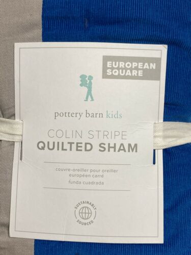 Pottery Barn Kids Colin Stripe Quilted Euro Sham NWT - Fresh Stock Dated December 2025