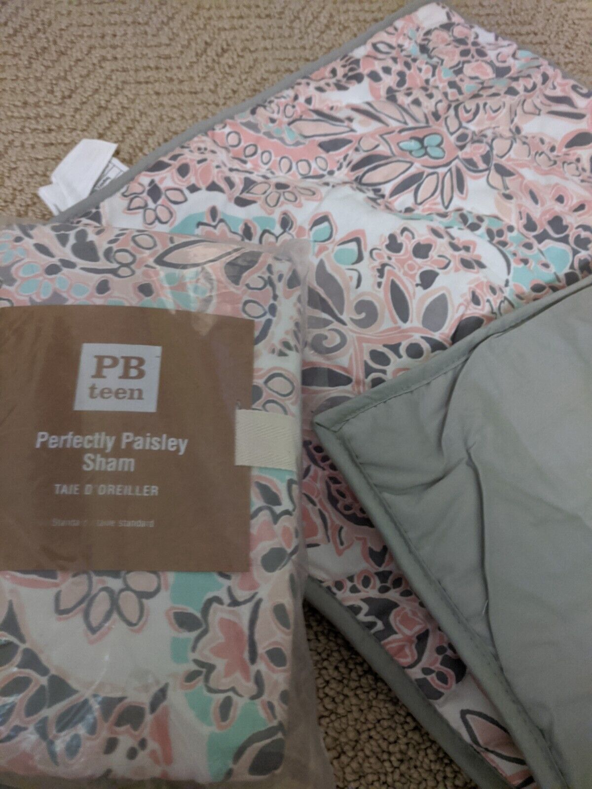 Pottery Barn Teen Perfectly Paisley Standard Sham Pink & Gray. Girls Teen - Fresh Stock Dated February 2026