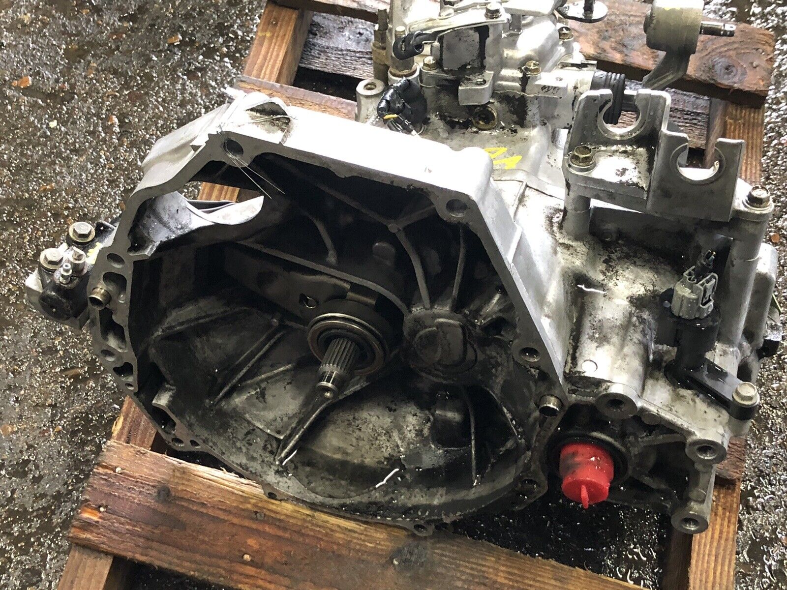 1998-2002 Honda Accord 98 99 Acura CL 2.3 5 Speed Manual Transmission Transaxle - Fresh Stock Dated February 2026