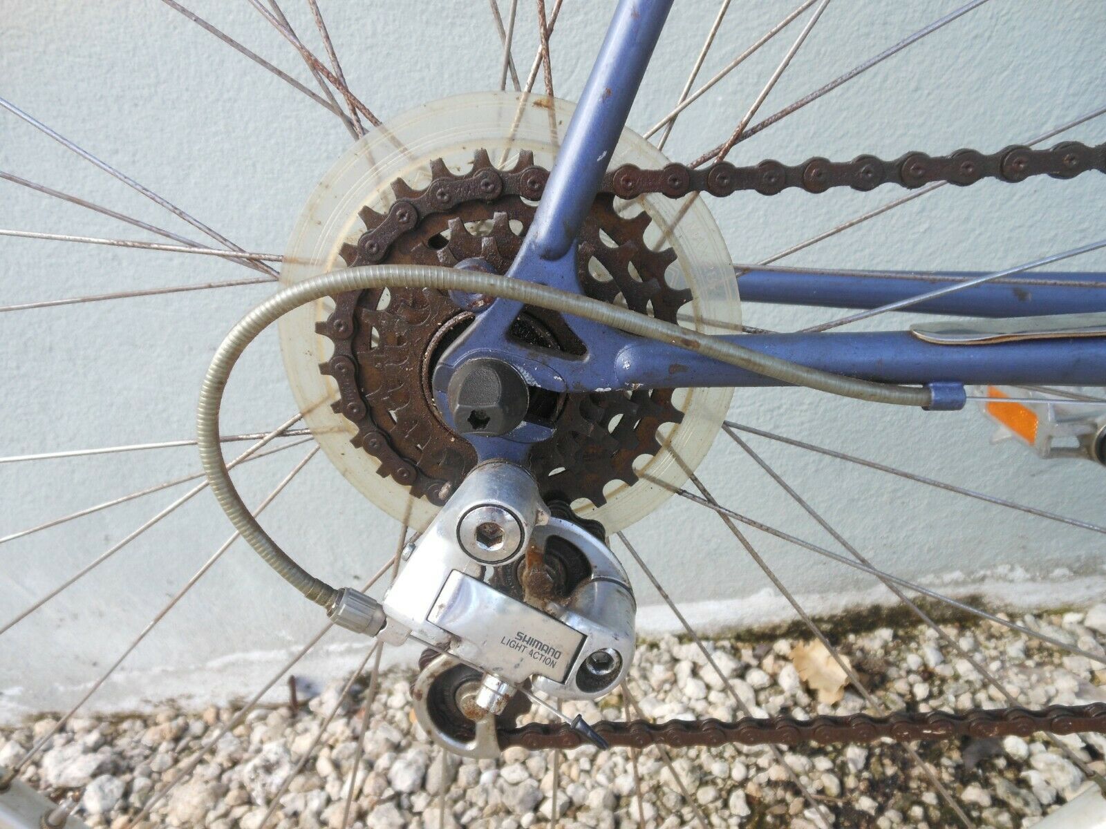 Schwinn Prelude 54cm Bike - Fresh Stock Dated February 2026