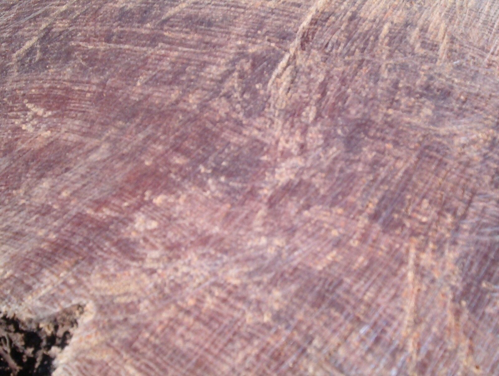 Fat lighter Kindling Fire Starters Fatwood Splints 3 Lb.+ Of Wood *FREE MAILING* - Fresh Stock Dated February 2026