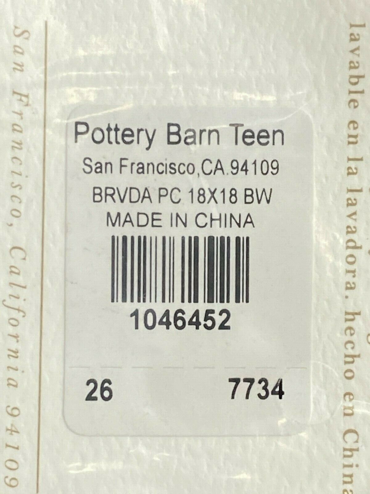 Pottery Barn Teen Ramones Band Art Skull Black Pillow Cover 18