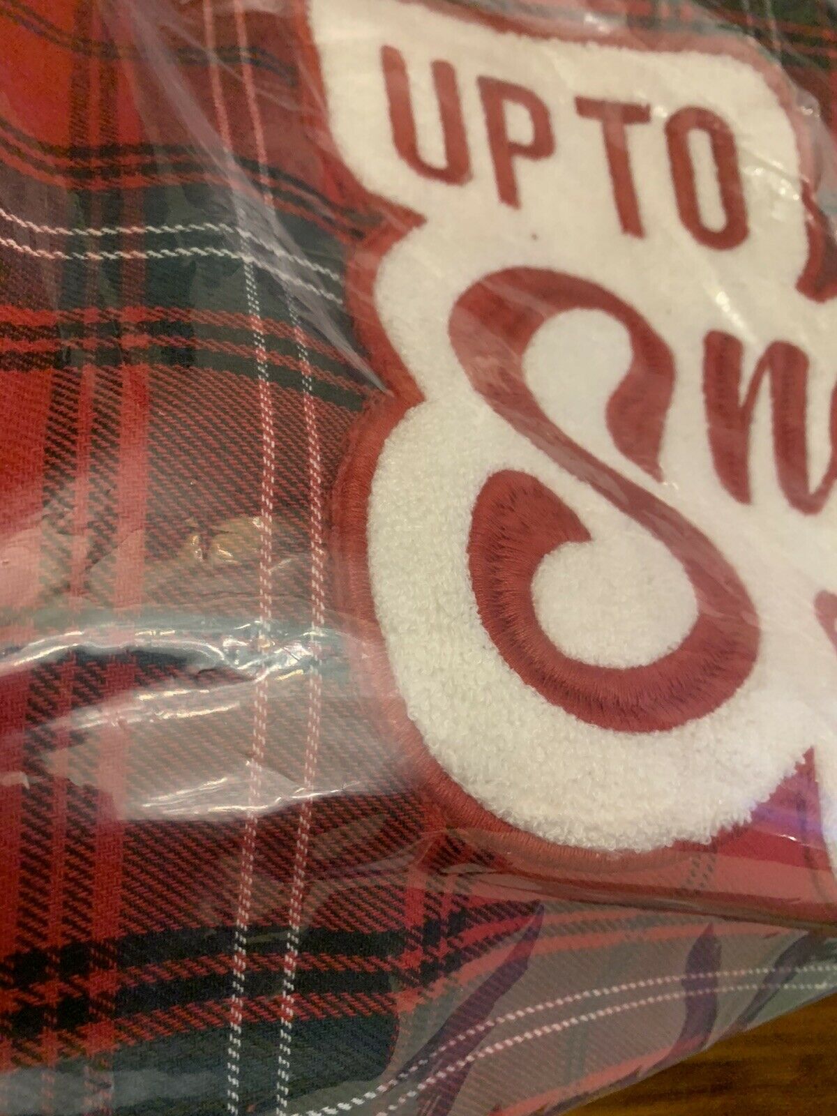 Pottery barn Pillow cover Holiday Christmas Ski lodge 18